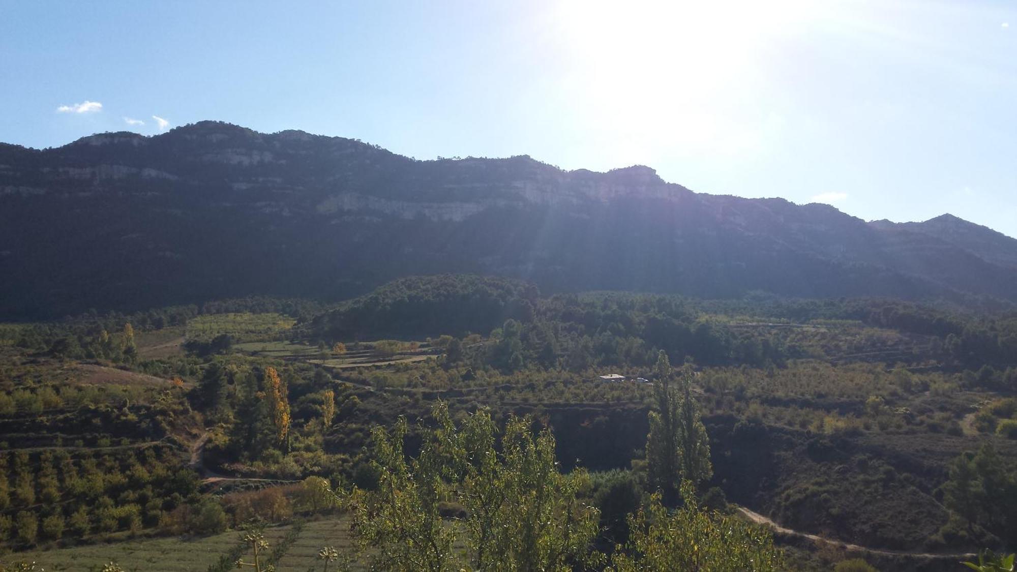 Montsant Park Camping & Bungalow Ulldemolins Exterior foto